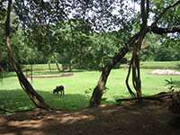 Sri Lanka - Panduwas Nuwara