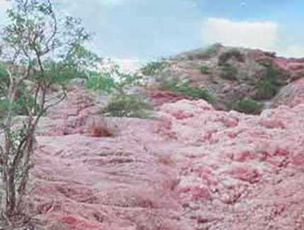 Sri Lanka | Rosenquarzberg