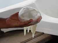 Sri Lanka | Flussfahrt