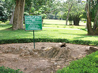 Sri Lanka | Botanischer Garten in Gampaha