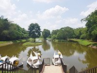 Sri Lanka | Botanischer Garten in Gampaha