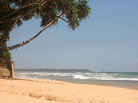 Sri Lanka | Hikkaduwa