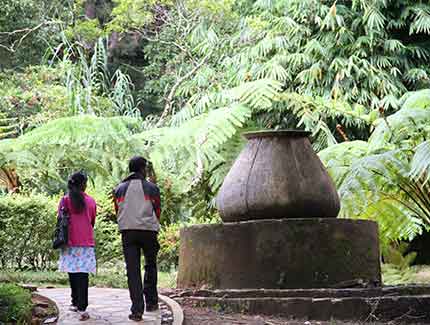 Sri Lanka | Hakgala Garden