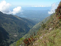 Sri Lanka | Horton Plains