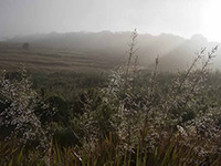 Sri Lanka | Horton Plains