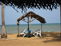 Sri Lanka | Hotelbewertung Carolina, Chilaw