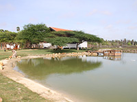 Sri Lanka | Hotelbewertung Palmyrah House, Mannar