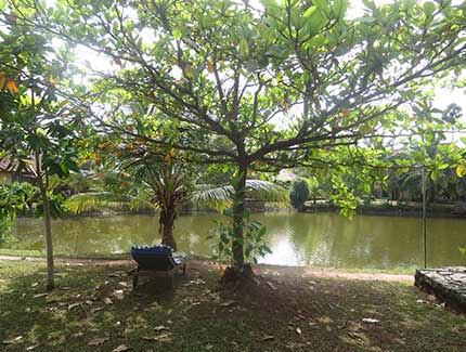 Sri Lanka | Hotelbewertung Club Palm Bay, Marawila