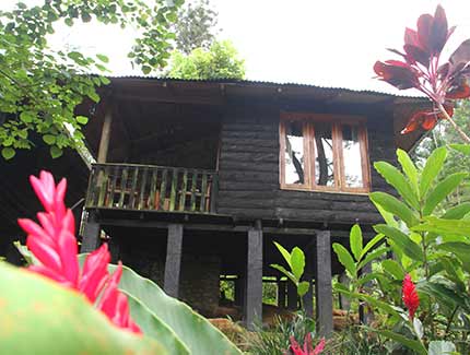 Sri Lanka | Hotelbewertung Club Palm Bay, Marawila