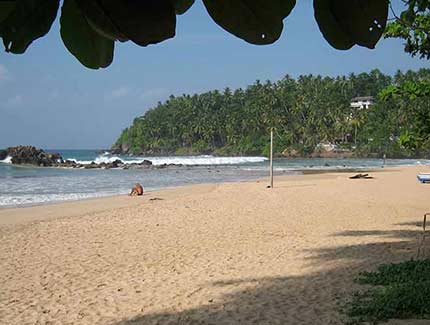 Sri Lanka | Hotelbewertung Paradise Club, Mirissa