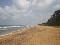 Sri Lanka | Hotelbewertung Tangarine Beach Hotel, Kalutera