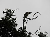 Sri Lanka | Hurulu Eco Park