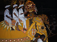 Esala Perahera in Kandy