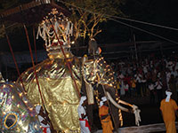 Esala Perahera in Kandy