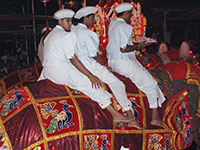 Esala Perahera in Kandy
