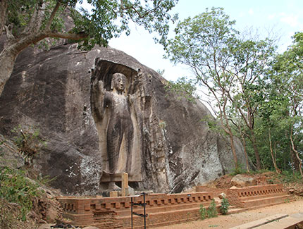 Sri Lanka | Sasseruwa (Reswehera)