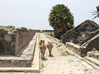 Sri Lanka | Mannar Fort