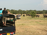 Sri Lanka | Minneriya Nationalpark