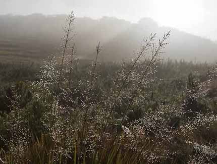 Sri Lanka | Horton Plains