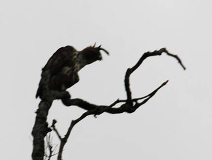 Sri Lanka | Hurulu Eco Park