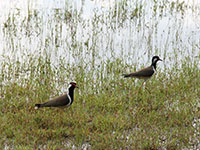 Sri Lanka | Sri Lanka | Nationalparks