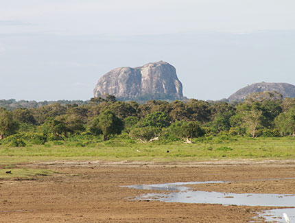 Sri Lanka | Yala Nationalpark