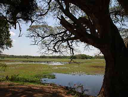 Sri Lanka | Anawilundawa