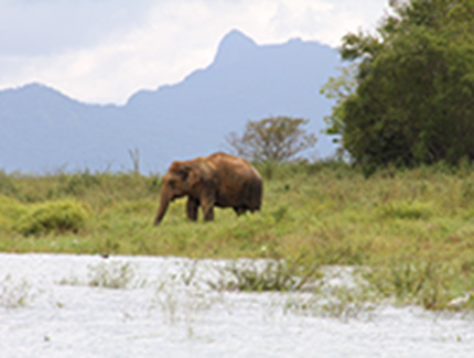Sri Lanka | Nationalparks