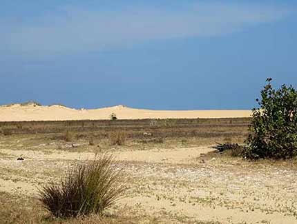 Sri Lanka | Point Pedro