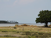 Sri Lanka | Pungudutivu