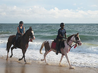 Sri Lanka | reiten