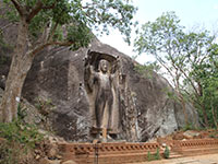 Sri Lanka | Sasseruwa (Reswehera)