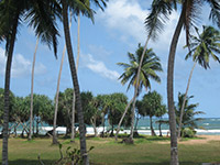 Sri Lanka | Südwestküste