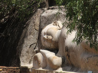 Sri Lanka | Tantirimale