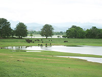 Sri Lanka | Uda Walawa Nationalpark