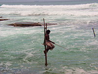 Sri Lanka | Weligama