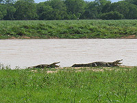 Sri Lanka | Yala Nationalpark