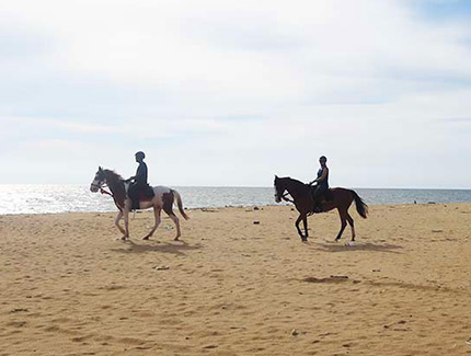 Sri Lanka | Reiten