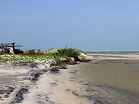 Sri Lanka | Adams Bridge