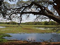 Sri Lanka | Anawilundawa