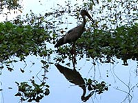 Sri Lanka | Anawilundawa