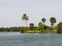 Sri Lanka | Bootsfahrt auf der Lagune von Batticaloa