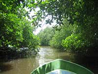 Sri Lanka | Bentota Fluss